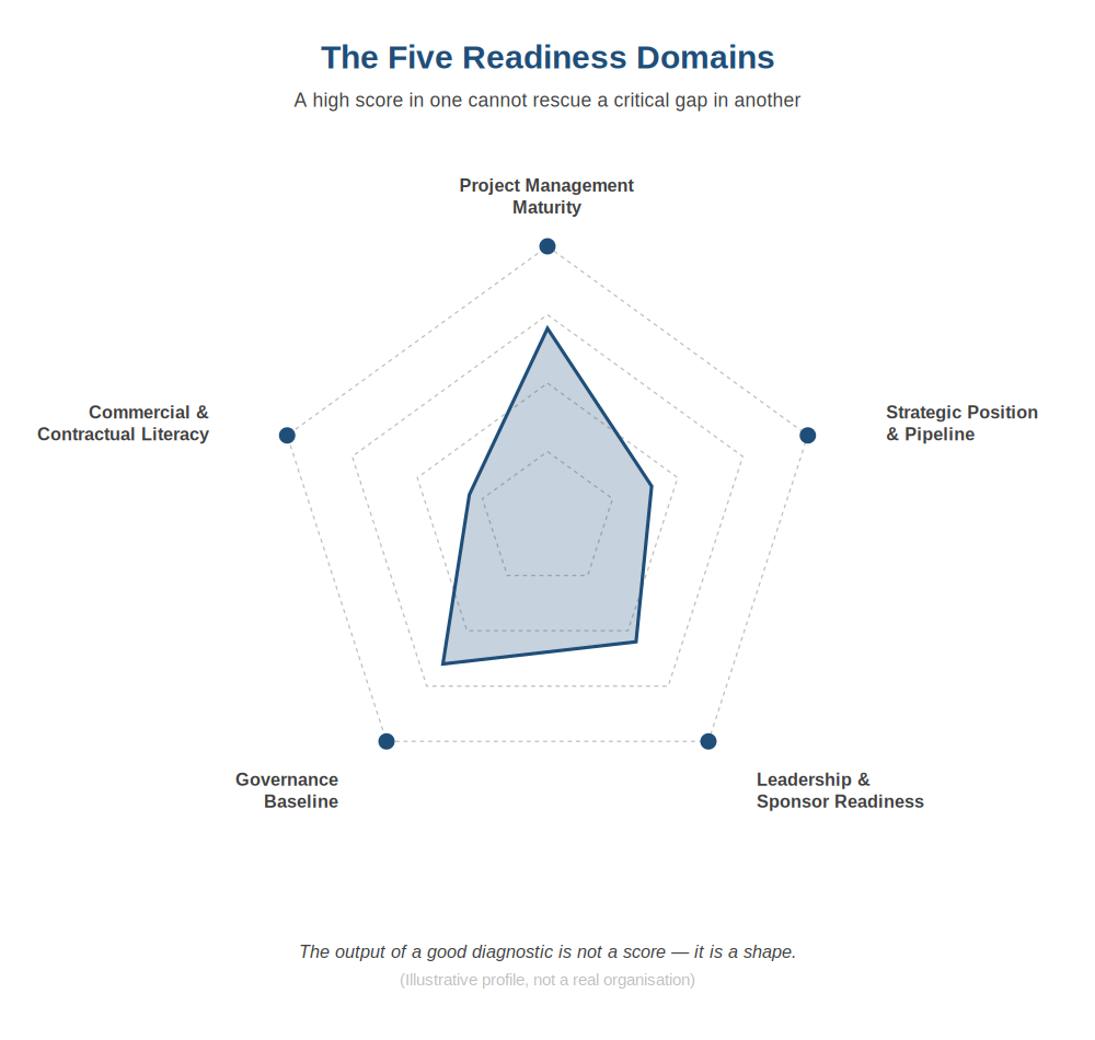 The five readiness domains assessed in the Diagnose stage.
